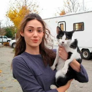 🐱 emoji Ебанафты какие-то Telegram sticker 19 of 50