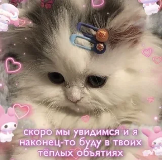 🥹 emoji Люблю Александра Telegram sticker 18 of 20