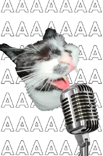 🌟 emoji cats Telegram sticker 13 of 14
