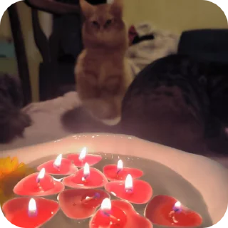 ❤ emoji Счастливая семёрка Telegram sticker 15 of 19