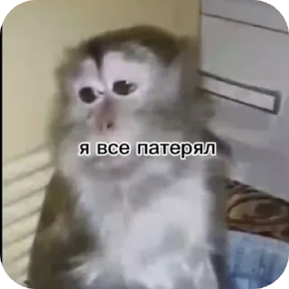 😭 emoji мои стикеры Telegram sticker 8 of 43