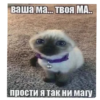 🐶 emoji мои стикеры Telegram sticker 24 of 43