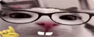 🤓 emoji брэдик полный Telegram sticker 6 of 49
