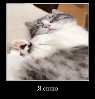 💤 emoji Демотиваторы Telegram sticker 6 of 35