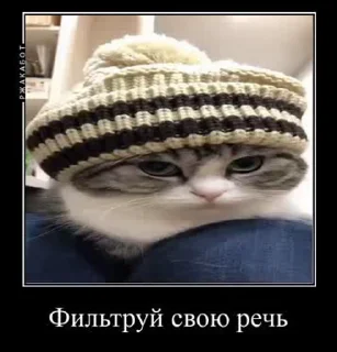 🚮 emoji Демотиваторы Telegram sticker 22 of 35