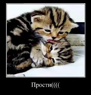 🥺 emoji Демотиваторы Telegram sticker 17 of 35