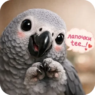 Sticker from Самые милые на свете попугаи жако и их друзья