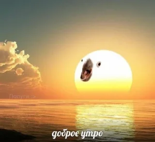 ☀️ emoji На все случаи Telegram sticker 13 of 64