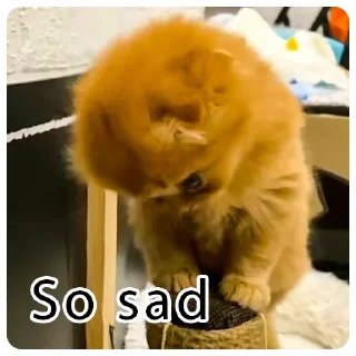 Emotional support по котячому sticker preview 4