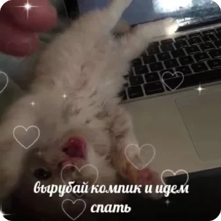 Sticker from дед Сонечка
