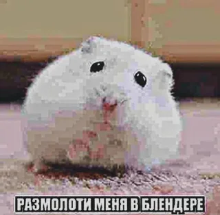 😁 emoji О ма гад Telegram sticker 6 of 28