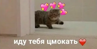 😘 emoji Мило. Telegram sticker 16 of 120