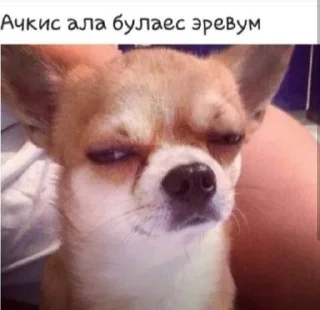 🧐 emoji matevosyan Telegram sticker 8 of 58
