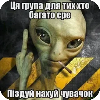 🖼 emoji Галава два уха 🤍 Telegram sticker 16 of 81