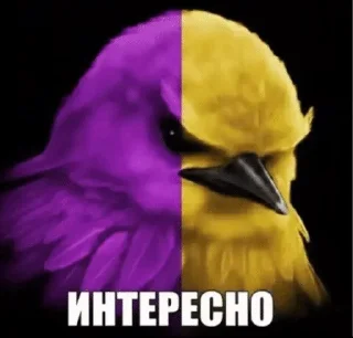 🌟 emoji птички 🦜 @drlkssixc Telegram sticker 7 of 99