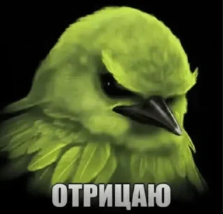 🌟 emoji птички 🦜 @drlkssixc Telegram sticker 8 of 99