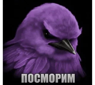 🌟 emoji птички 🦜 @drlkssixc Telegram sticker 14 of 99