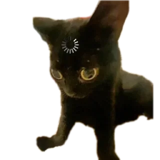 🐱 emoji Еблеты котов Telegram sticker 6 of 27