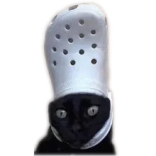 ⛑ emoji Еблеты котов Telegram sticker 20 of 27