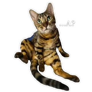 🫥 emoji ШубаМоя Telegram sticker 19 of 19