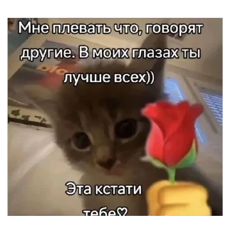 🫥 emoji Сим силябим@matriXX16 Telegram sticker 9 of 11