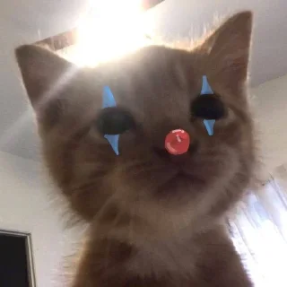 🤡 emoji clown Telegram sticker 4 of 75