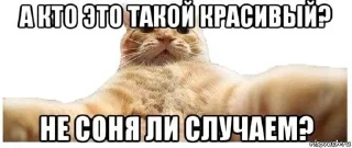 🌟 emoji Соня Telegram sticker 14 of 59