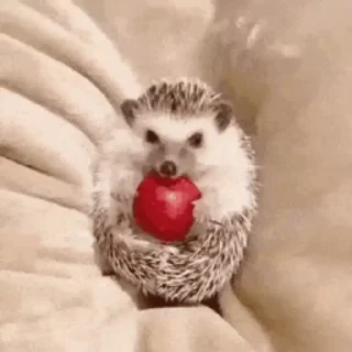 😋 emoji 🦔 @this_is_sticker_party Telegram sticker 19 of 30