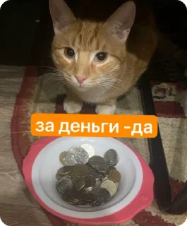 🌟 emoji обсудим и осудим Telegram sticker 7 of 25