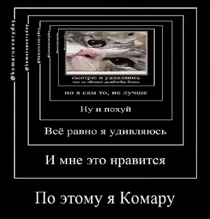 😐 emoji Аллах дно Telegram sticker 6 of 39