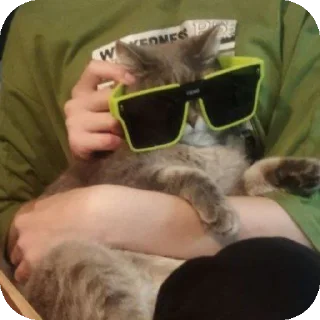 😎 emoji карл сосать Telegram sticker 22 of 41