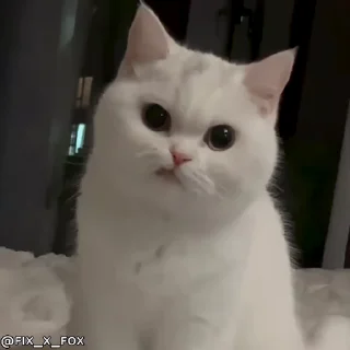 😠 emoji злой пидор и другие пидорасы Telegram sticker 24 of 115