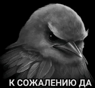 🐦 emoji Вряд-ли Telegram sticker 16 of 120