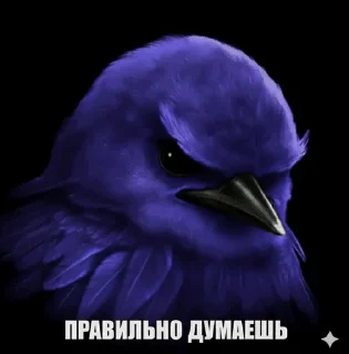 🌟 emoji Ебучие птицы/by мантис Telegram sticker 7 of 120