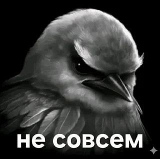 🌟 emoji Ебучие птицы/by мантис Telegram sticker 23 of 120