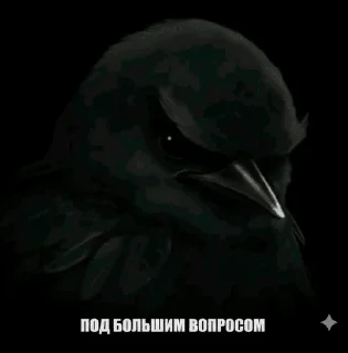 🌟 emoji Ебучие птицы/by мантис Telegram sticker 16 of 120
