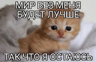 🌟 emoji Великие цитаты и прочая ерунда Telegram sticker 18 of 21