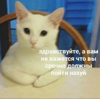 🌟 emoji Мой муд Telegram sticker 22 of 40