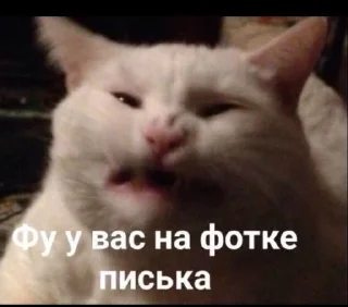🌟 emoji Мой муд Telegram sticker 17 of 40