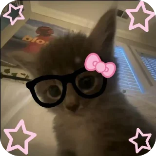 👓 emoji Kitty Telegram sticker 9 of 21