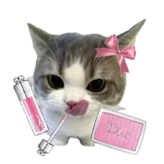 🐱 emoji meowwemii Telegram sticker 14 of 30