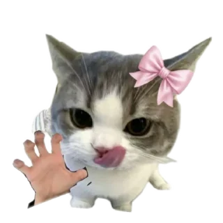 🐱 emoji meowwemii Telegram sticker 23 of 30