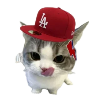 🐱 emoji meowwemii Telegram sticker 11 of 30