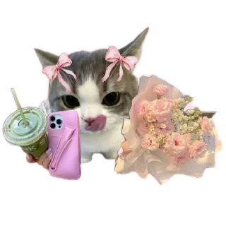 🐱 emoji meowwemii Telegram sticker 6 of 30