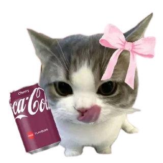 🐱 emoji meowwemii Telegram sticker 9 of 30
