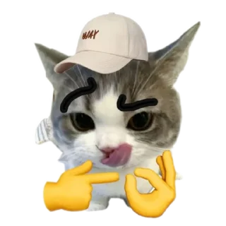 🐱 emoji meowwemii Telegram sticker 24 of 30