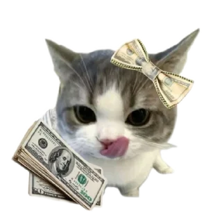 🐱 emoji meowwemii Telegram sticker 19 of 30
