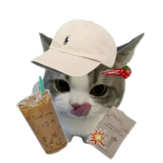 🧸 emoji meowwemii Telegram sticker 21 of 30