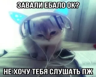 Sticker from злые котеки: @catliing