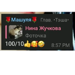 👍 emoji шутка🤣🤣🤣 Telegram sticker 5 of 48